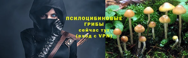 спайс Майский