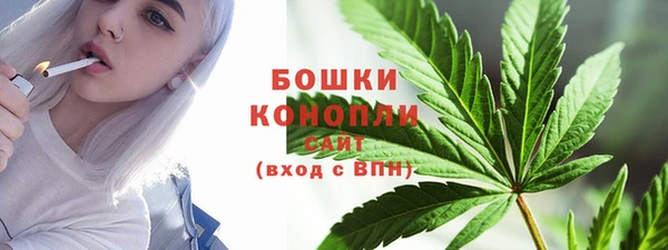 сатива Верхний Тагил