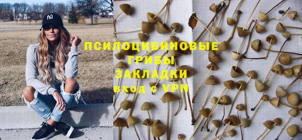 гидра Коряжма