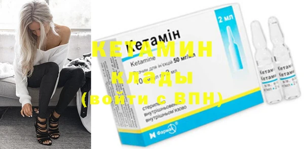крисы Верея