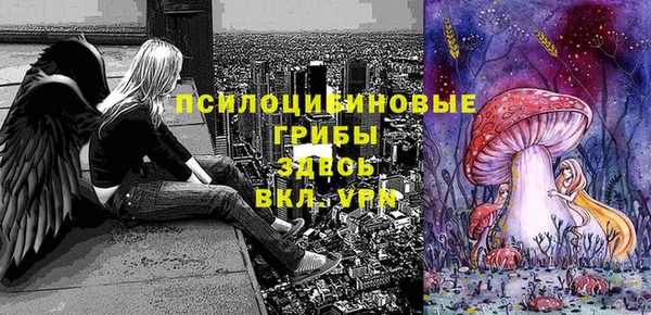 МДПВ Верхнеуральск