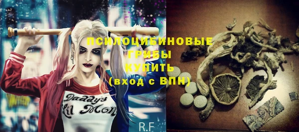 Альфа ПВП Магадан