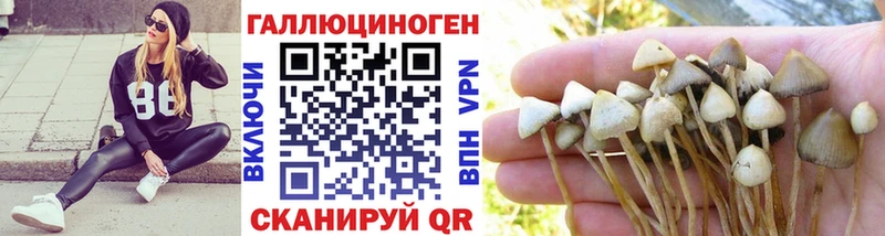 Псилоцибиновые грибы прущие грибы  Выкса 